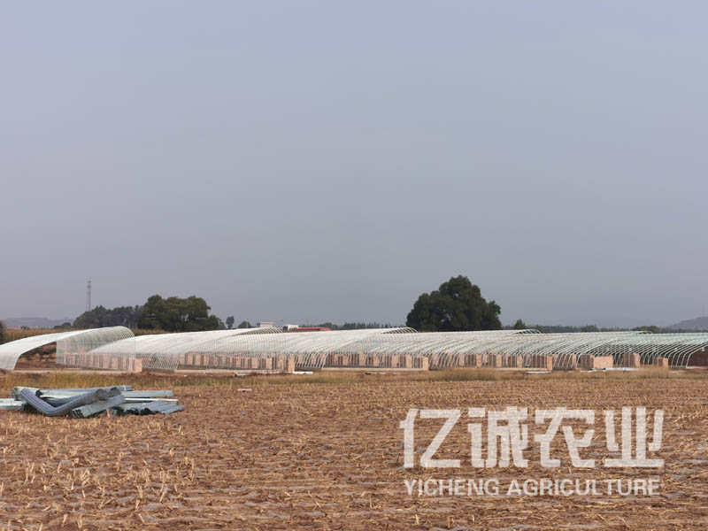 一畝溫室大棚造價多少錢？溫室建設(shè)成本