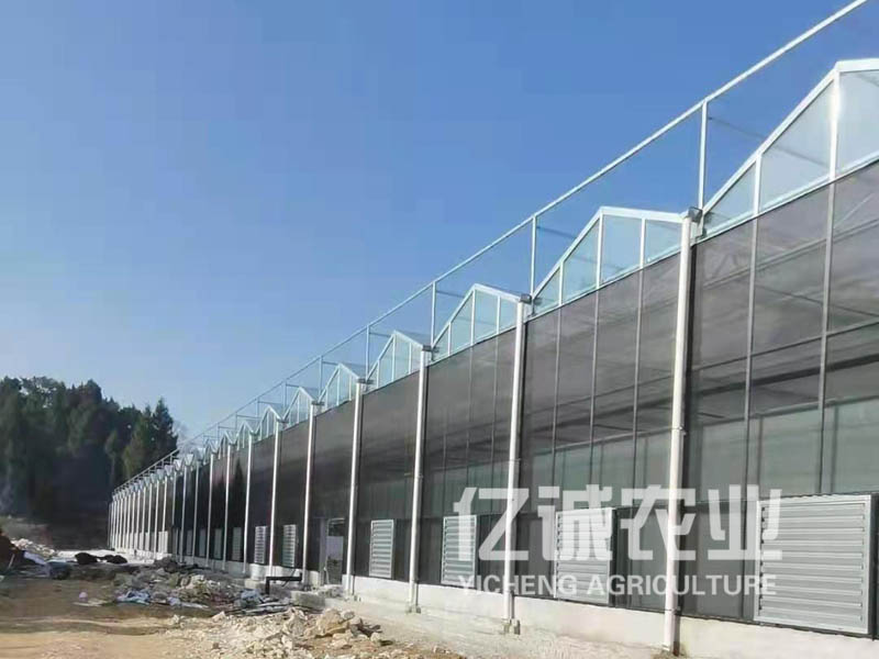 建溫室大棚需要多少錢？連棟溫室工程造價