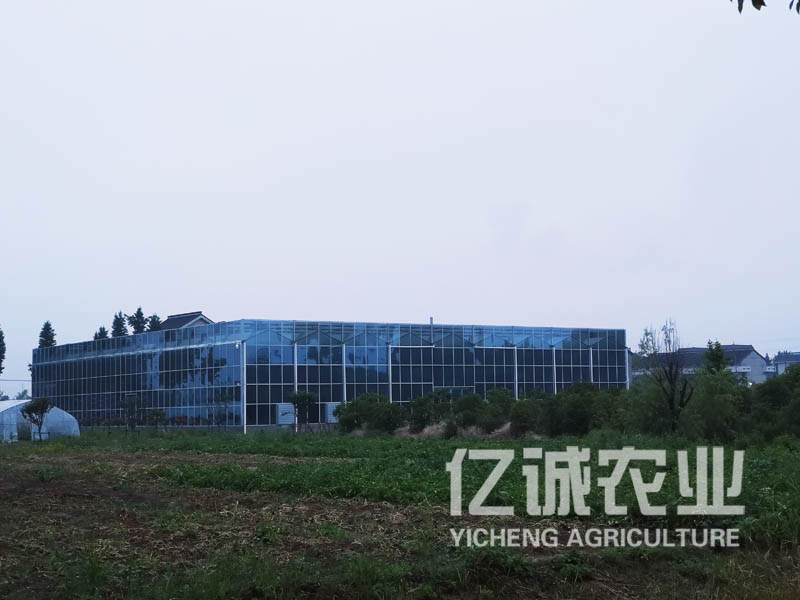 智能溫室大棚遇到大風(fēng)該怎么加固？