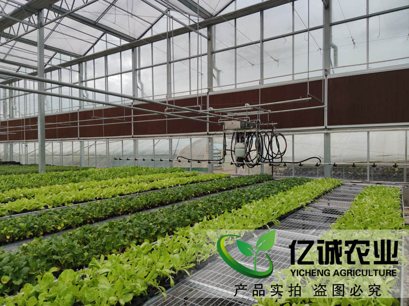 現(xiàn)代化智能溫室大棚如何建造？智能化連棟溫室大棚多少錢一個平方？