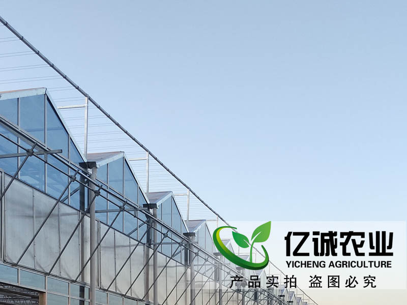 玻璃溫室每平方米報(bào)價(jià)多少？現(xiàn)代化智能溫室大棚造價(jià)？