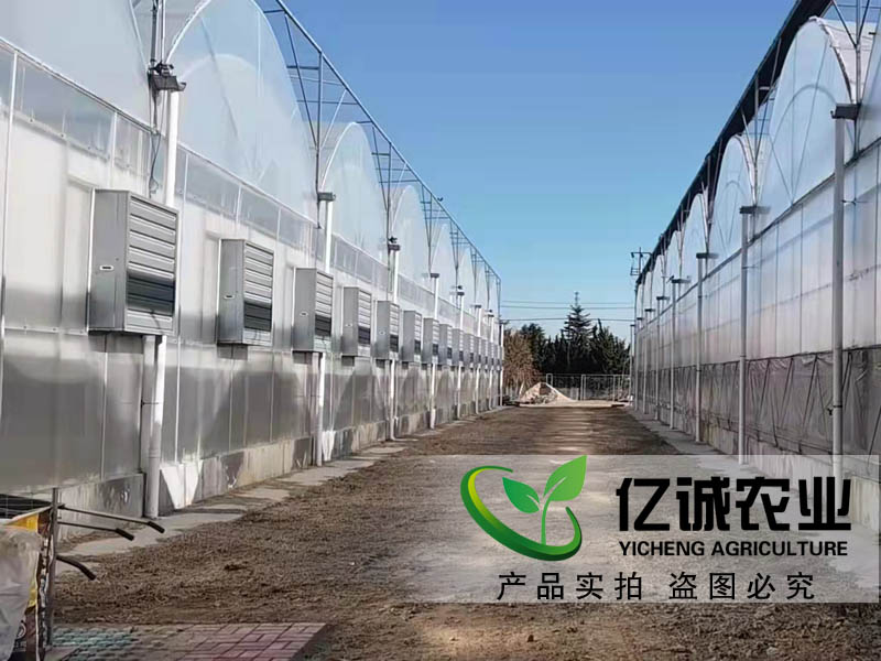 玻璃和薄膜連棟溫室大棚在種植蔬菜前對土壤有要求嗎？