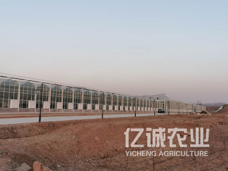 玻璃溫室工程建設(shè)需要什么手續(xù)？建設(shè)注意事項