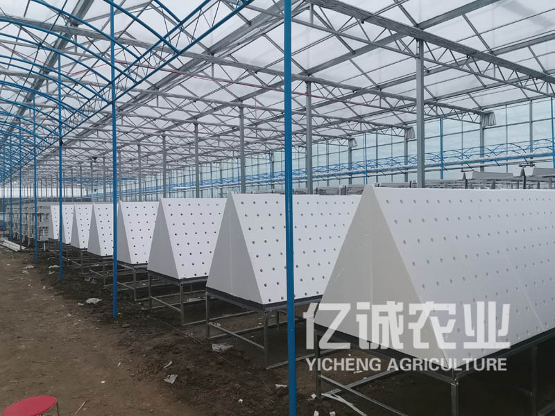 薯類(lèi)作物的溫室大棚怎么建設(shè)？造價(jià)高不高？